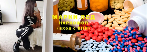 spice Алзамай