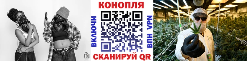 Конопля сатива  даркнет сайт  Ефремов 